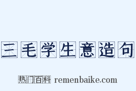 三毛学生意造句是什么意思的图片